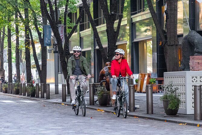 3-Hour Tokyo Private E-Bike Tour Starting from Your Hotel - Key Highlights That Make This Worth Your Time
