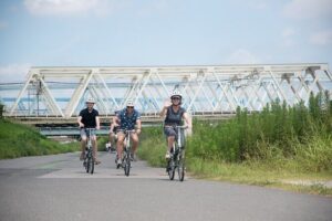 3-Hour Tokyo Private E-Bike Tour Starting from Your Hotel - E-Bike Setup and Safety: What to Expect Before You Ride