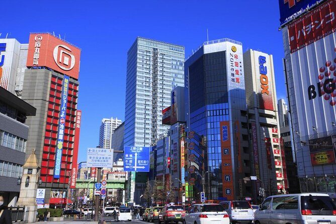 Akihabara: Go-Kart Experience with Local Guide in Tokyo - Key things to know before you wear the costume
