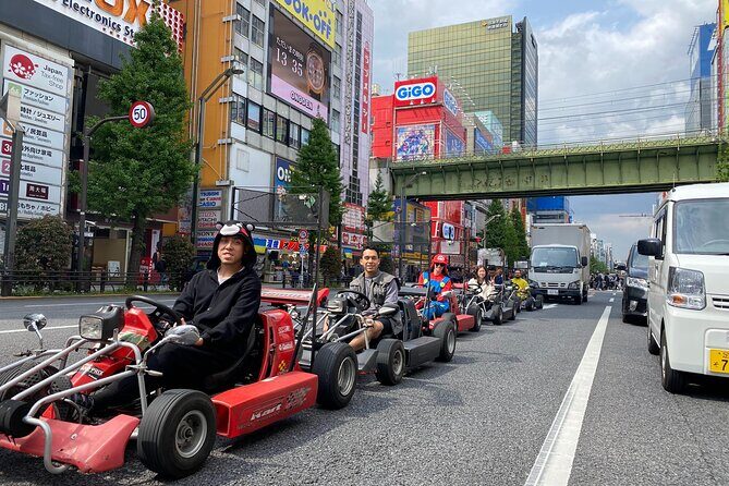 Akihabara: Go-Kart Experience with Local Guide in Tokyo - Akihabara on a Go-Kart: Why This Area Works So Well