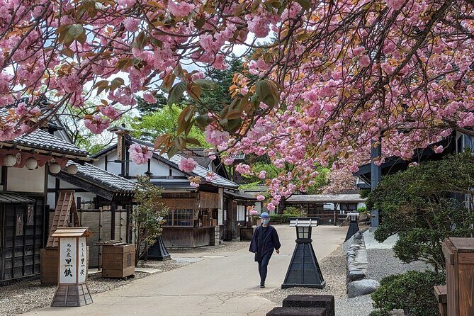 Chartered Private Tour - Tokyo to Nikko, Toshogu, Edo Wonderland - Shinkyo Bridge and Kanmangafuchi Jizo Statues: Quick Stops With Stories