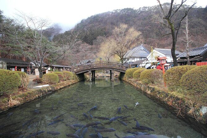 Chartered Private Tour - Tokyo to Nikko, Toshogu, Edo Wonderland - Who Should Book This Nikko Tour (And Who Might Want Fewer Stops)