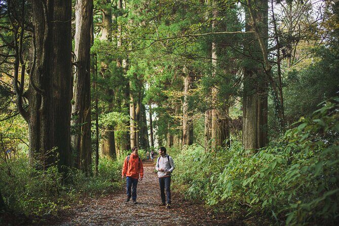 Custom Private Tour in Hakone with a Certified Local Guide - Hakone-machi and Onshi Hakone Park: classic scenery, easy strolling