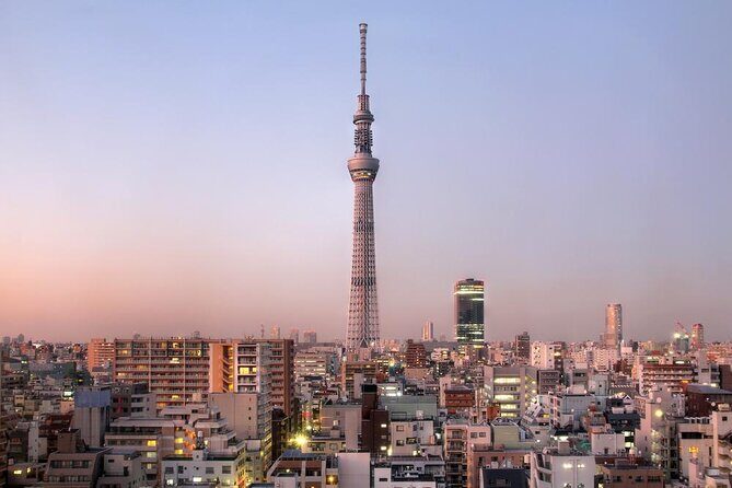 Day Private City Tour of Tokyo with English speaking driver - Key things to know before you go