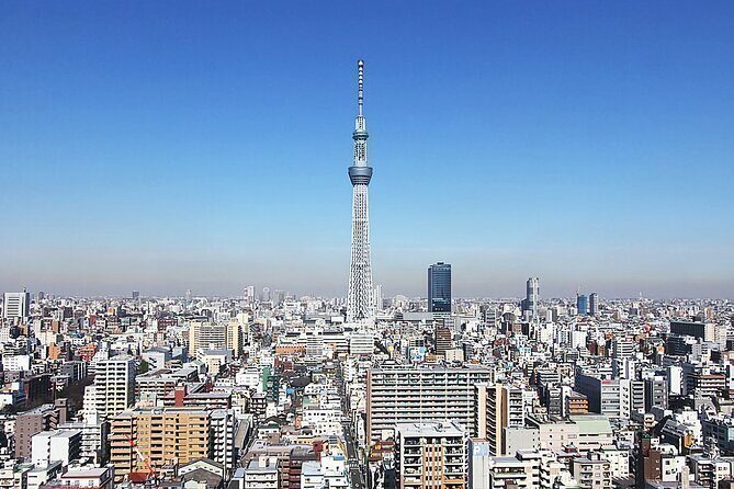 Day Private City Tour of Tokyo with English speaking driver - Why a private Tokyo loop beats train hopping