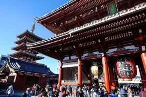 Day Private City Tour of Tokyo with English speaking driver - Price and logistics: what $400 per group covers