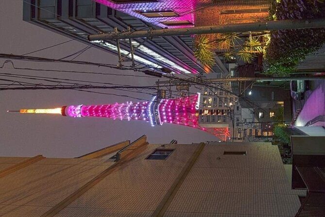 Day Private City Tour of Tokyo with English speaking driver - Tokyo Skytree: pay for the view, not just the photo