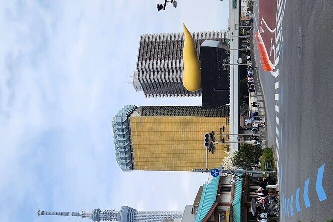 Day Private City Tour of Tokyo with English speaking driver - Godzilla Head and the 3D cat billboard: quick, fun, and free