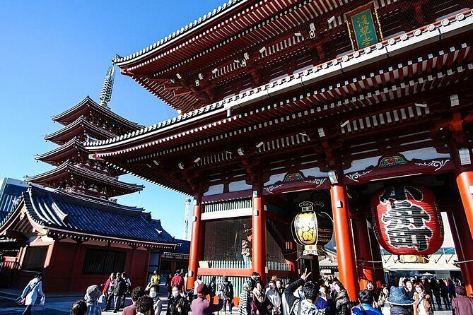 Day Private City Tour of Tokyo with English speaking driver - Price and logistics: what $400 per group covers