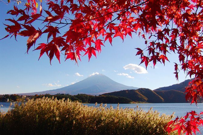 Discover Mt. Fuji 5th Station & Kawaguchiko Sightseeing Day Tour - From Tokyo: the smooth bus part (and why it’s worth it)