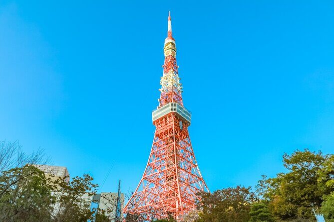 Discover Tokyo, Private Customized Tour with Expert Guides - How the customization actually helps your day