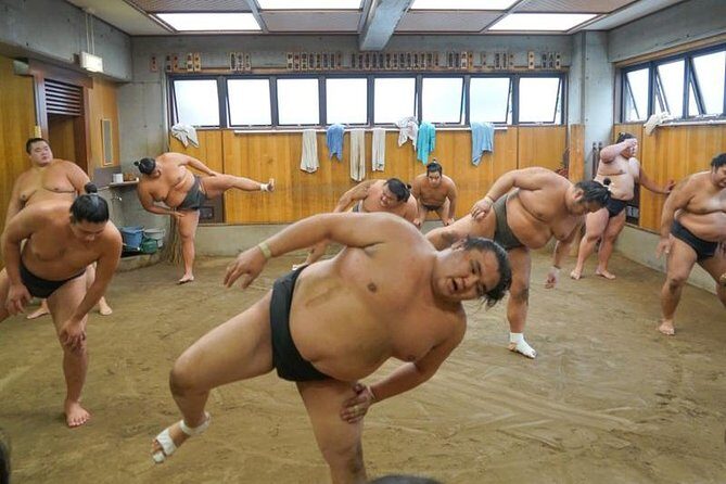 Exclusive Sumo Morning Practice in Tokyo with Photo Opportunity - Watching Morning Practice Close-Up: Warm-Ups and Sparring