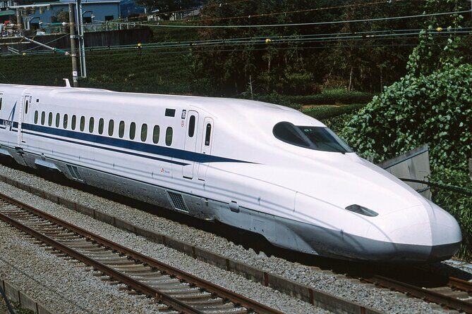 From Tokyo 1-Day Kyoto English-guided Tour by Bullet Train - Price and value: does $452.45 make sense for a Kyoto day trip?