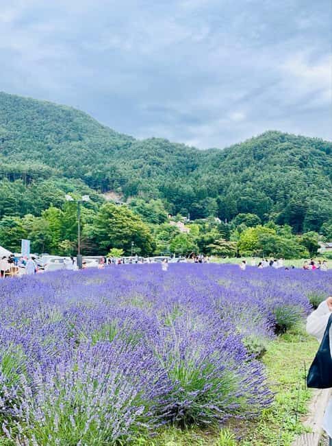 From Tokyo: Full-Day Mount Fuji Tour in English or Spanish - Chureito Pagoda steps: choose your effort level