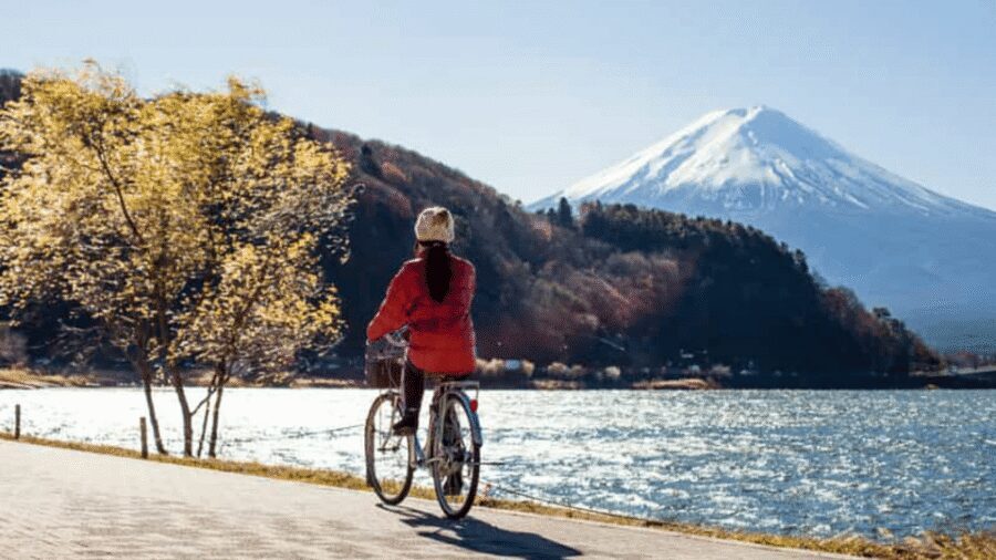 From Tokyo: Mount Fuji Full Customized Tour English Guide - A Tokyo-to-Fuji day trip that actually fits your day