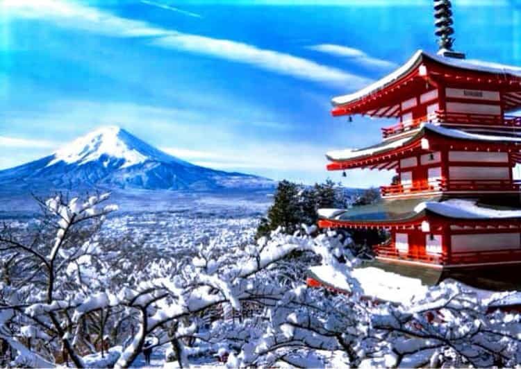 From Tokyo: Mount Fuji Full Customized Tour English Guide - Mount Fuji 5th Station: the viewpoint you come for