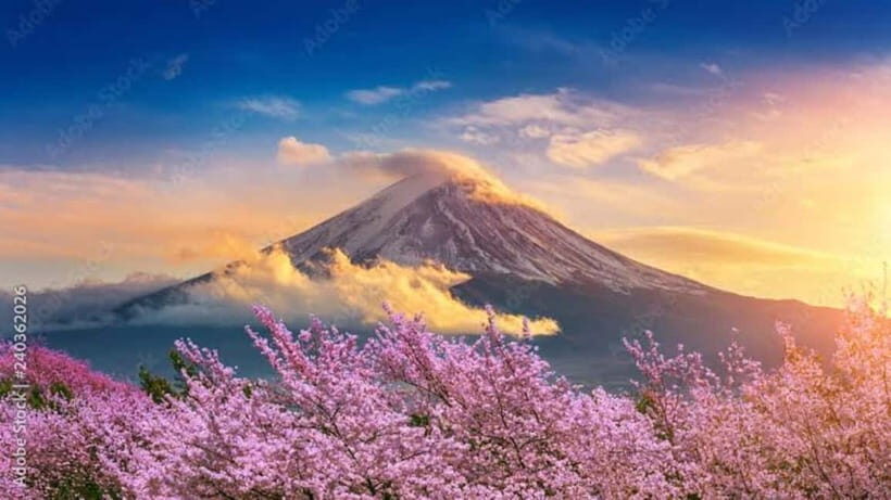 From Tokyo: Mount Fuji Full Day Customizable Private Tour - Key Things You’ll Like About This Tour