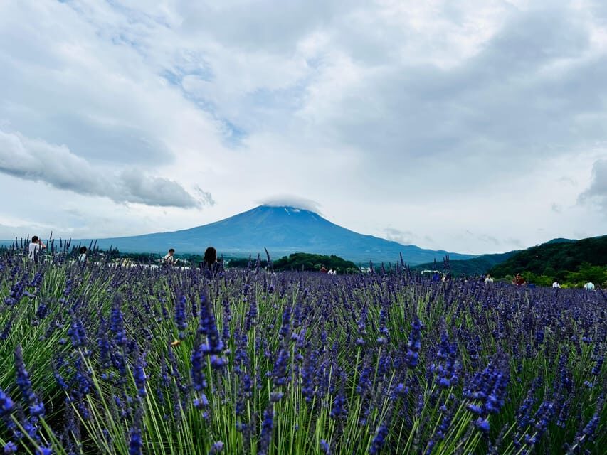 From Tokyo: Mount Fuji Full Day Customizable Private Tour - A Private Fuji and Hakone Day That You Can Actually Shape