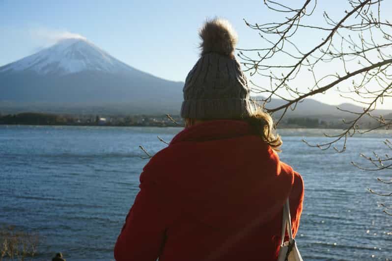 From Tokyo: Mount Fuji Full Day Customizable Private Tour - Mount Fuji 5th Station: The View, the Altitude Feeling, and the July Rule