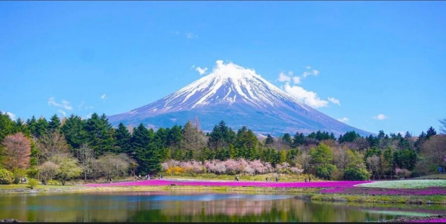 From Tokyo: Mount Fuji Full Day Customizable Private Tour - Chureito Pagoda: The Icon Frame for Mount Fuji Photos
