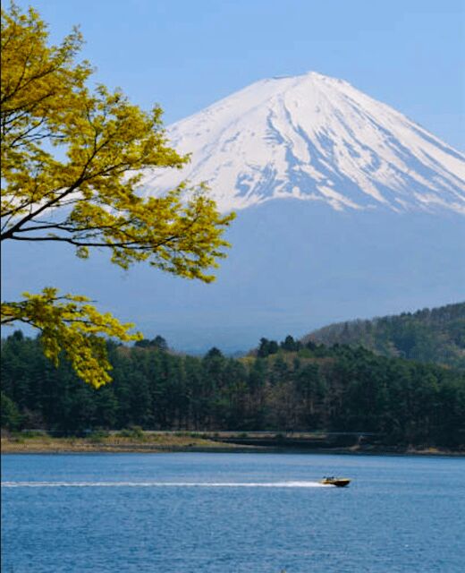 From Tokyo: Mount Fuji Full Day Customizable Private Tour - Optional Add-Ons: Saiko Iyashi-no-Sato, Ice and Wind Caves, and Even Outlets