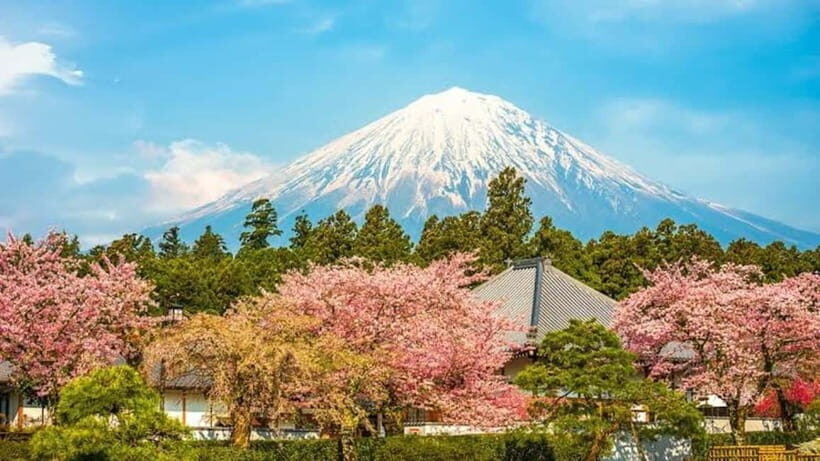 From Tokyo: Mount Fuji Full Day Customizable Private Tour - Kitaguchi-hongu Fuji Sengen Jinja Shrine: A Slower Cultural Stop