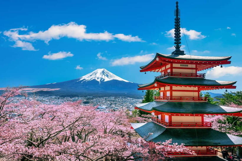 From Tokyo: Mount Fuji Full Day Private Customizable Tour - A Private Mount Fuji Day From Tokyo That You Control