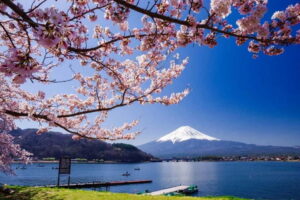 From Tokyo: Mount Fuji Full Day Private Customizable Tour - The Timing Trick That Makes Fuji Look Better