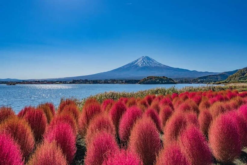 From Tokyo: Mount Fuji Full Day Private Customizable Tour - From Lake Kawaguchiko to Oshino Hakkai: the Fuji Five Lakes Hits