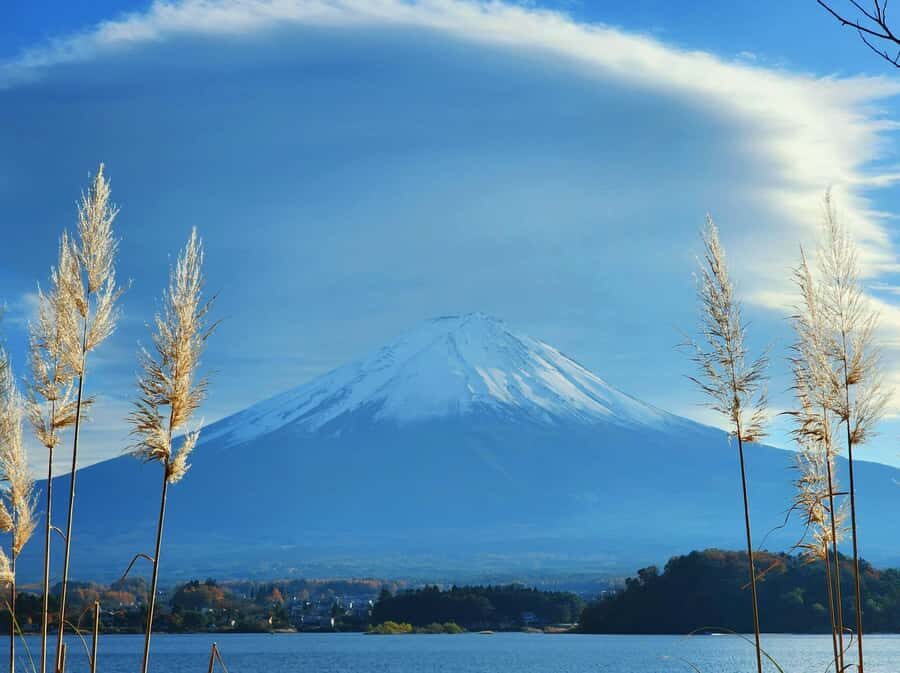 From Tokyo: Mount Fuji Full-Day Private Tour (Customizable) - Weather Reality, Timing, and the “Fuji Might Hide” Factor