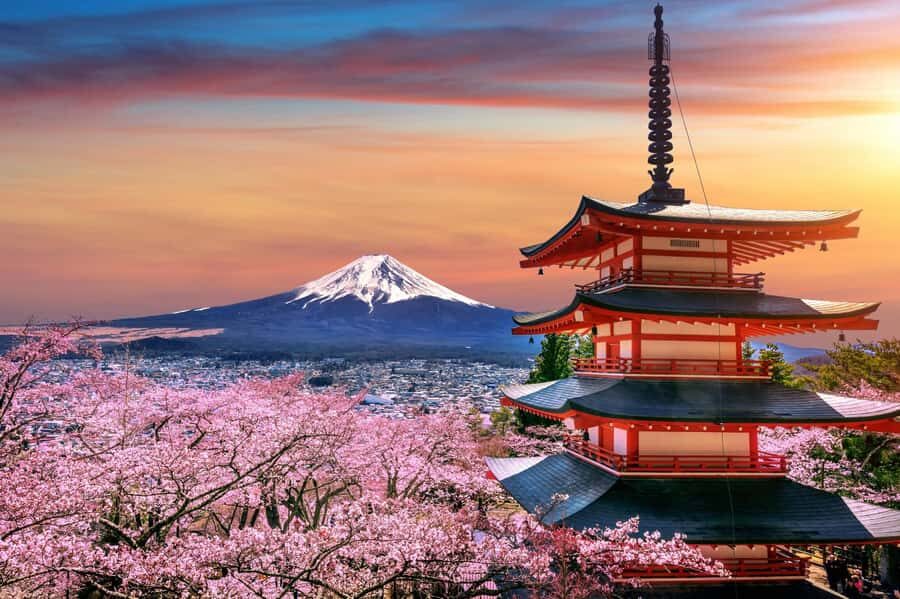 From Tokyo: Mount Fuji Full-Day Private Tour (Customizable) - Why This Private Fuji Day Works Better Than the Usual Day Trip