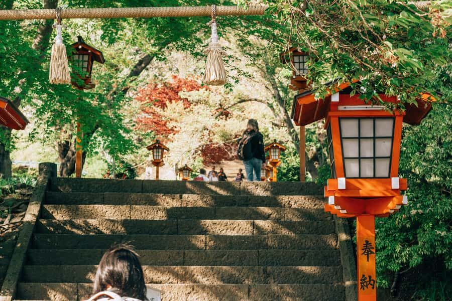 From Tokyo: Mount Fuji Full-Day Private Tour (Customizable) - Chureito Pagoda at Arakurayama Sengen Park: A Photo Stop With Real Meaning