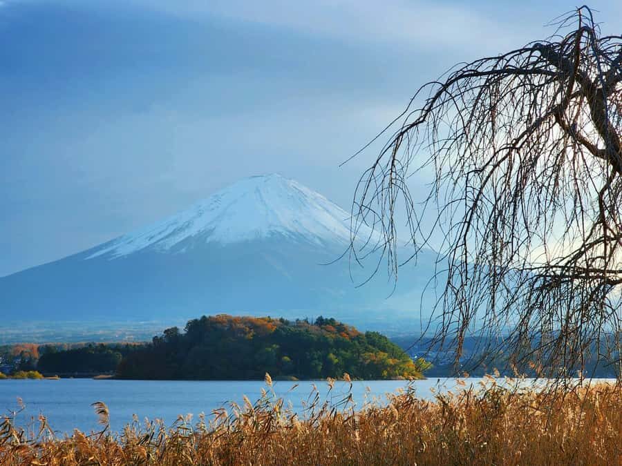 From Tokyo: Mount Fuji Full-Day Private Tour (Customizable) - Oshino Hakkai: Springs, Ponds, and Slow Strolling Time
