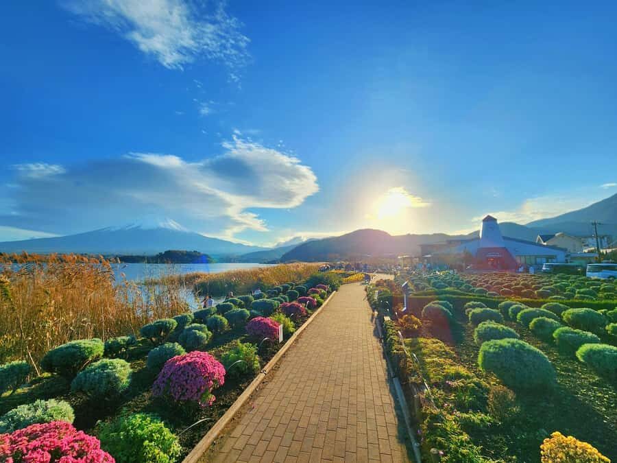 From Tokyo: Mount Fuji Full-Day Private Tour (Customizable) - Customizing the Day: How to Choose Your Fuji Focus