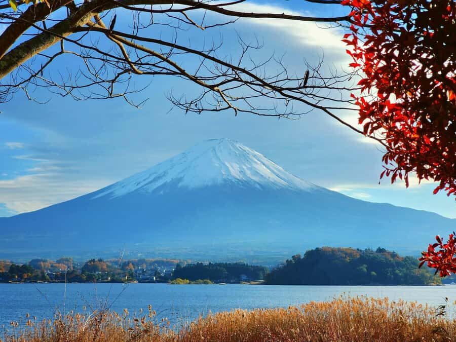 From Tokyo: Mount Fuji Full-Day Private Tour (Customizable) - Value and Pricing: Is $390 a Good Deal?