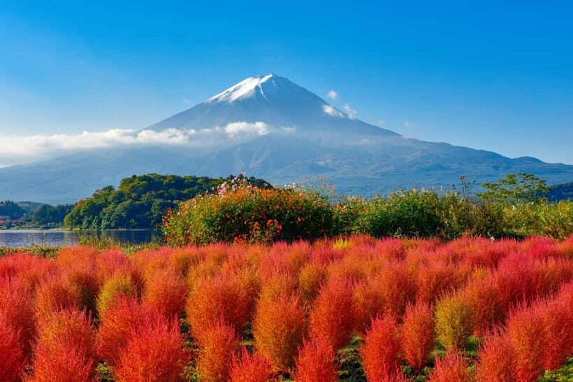 From Tokyo: Mount Fuji Full-Day Sightseeing Trip - Arakurayama Sengen Park and Chureito Pagoda: The Walk With the Big Payoff