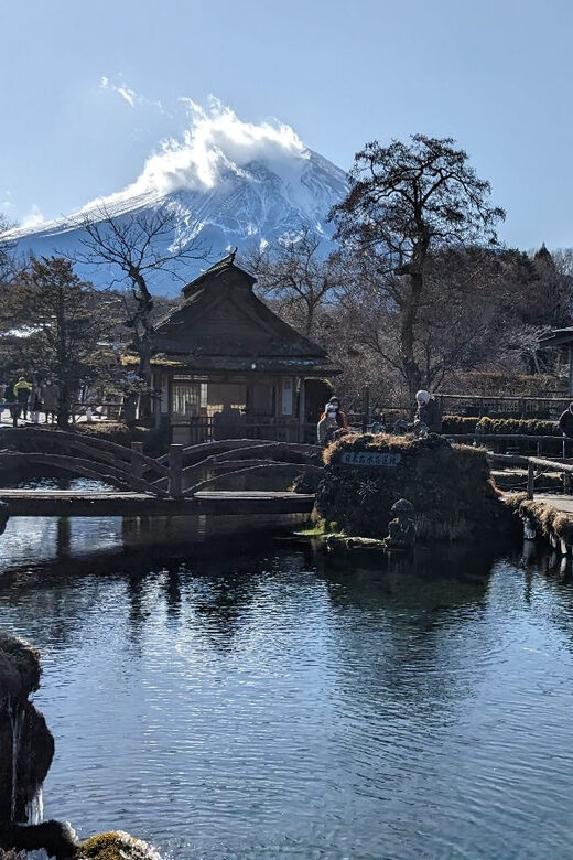 From Tokyo: Mt. Fuji & Hakone Tour w/ Return by Bullet Train - What the 5th Station Stop Feels Like (and How to Use It)