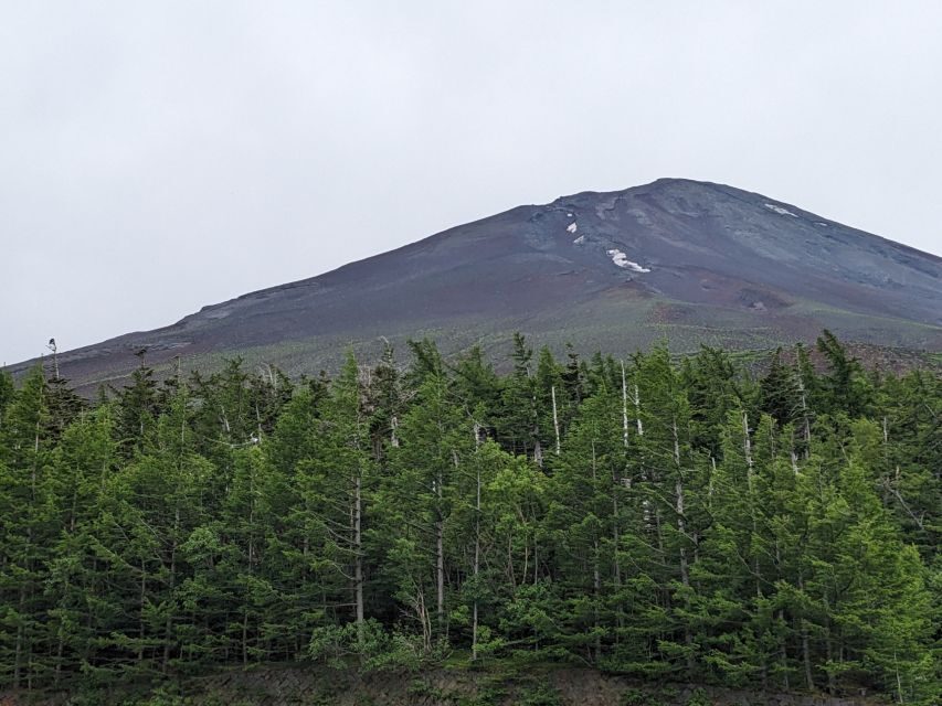 From Tokyo: Mt. Fuji & Hakone Tour w/ Return by Bullet Train - Weather Reality: How to Think About Fuji Visibility