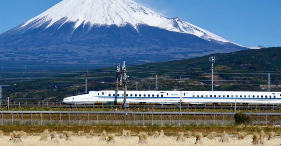 From Tokyo: Mt. Fuji & Hakone Tour w/ Return by Bullet Train - Mt. Fuji by the Subaru Line: Reaching the Highest Point You Can