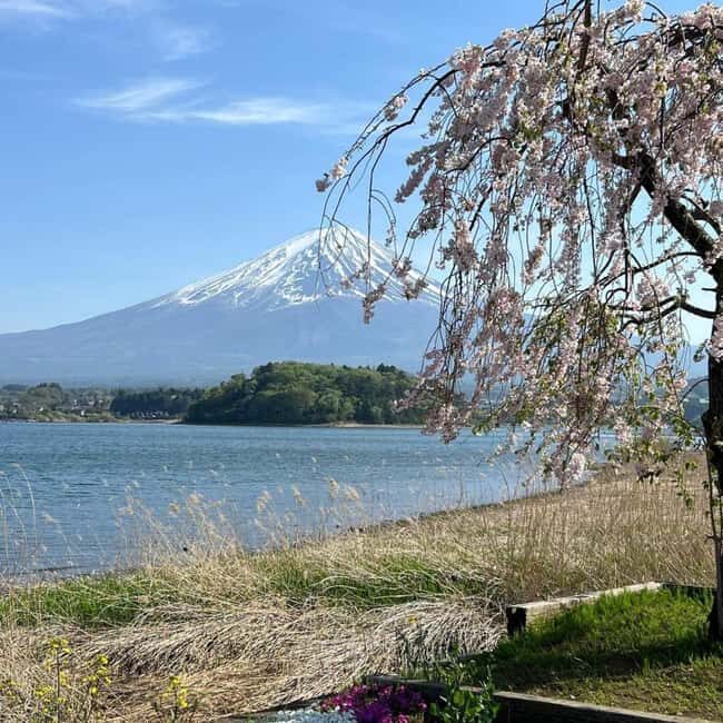 From Tokyo: Mt Fuji Private Day Tour In Luxury Land Cruiser - Key things to know before you ride