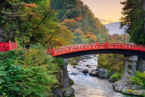 From Tokyo: Nikko World Heritage Site Private Full-Day Trip - Private Pickup and Luxury Transport: More Than Just Comfort