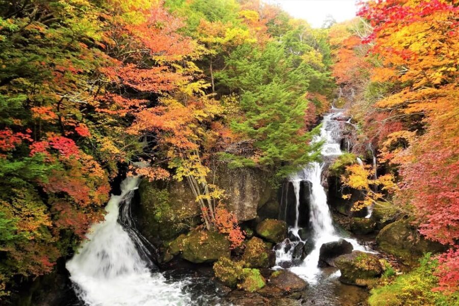 From Tokyo: Nikko World Heritage Site Private Full-Day Trip - The Scenic Warm-Up: Akechidaira Ropeway to Lake Chūzenji