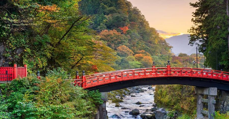 From Tokyo: Nikko World Heritage Site Private Full-Day Trip - Kegon Falls: The Waterfall Stop You’ll Remember