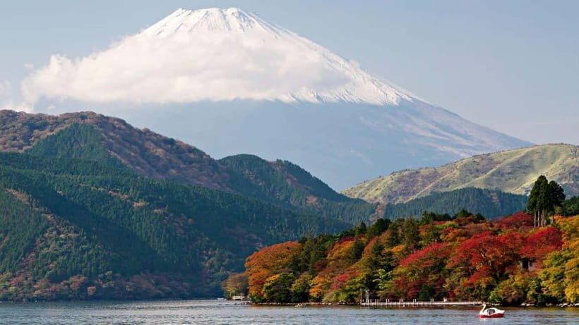 From Tokyo: Private Mt. Fuji and Hakone Tour by Car - Key Highlights You Should Care About