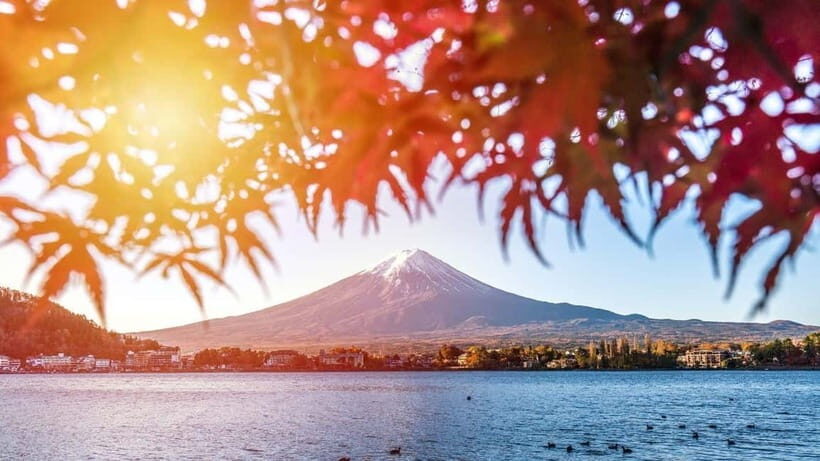 From Tokyo: Private Mt. Fuji and Hakone Tour by Car - A private car day for Mt. Fuji views from Tokyo