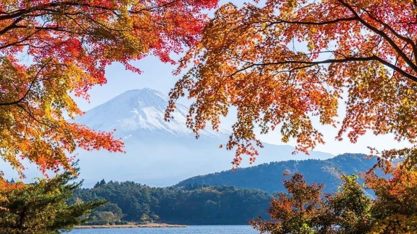 From Tokyo: Private Mt. Fuji and Hakone Tour by Car - Yamanakako: the calm Fuji Five Lakes start