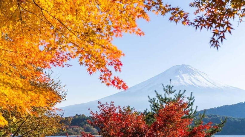From Tokyo: Private Mt. Fuji and Hakone Tour by Car - Riding with an English-speaking driver: flexibility and real-world pacing