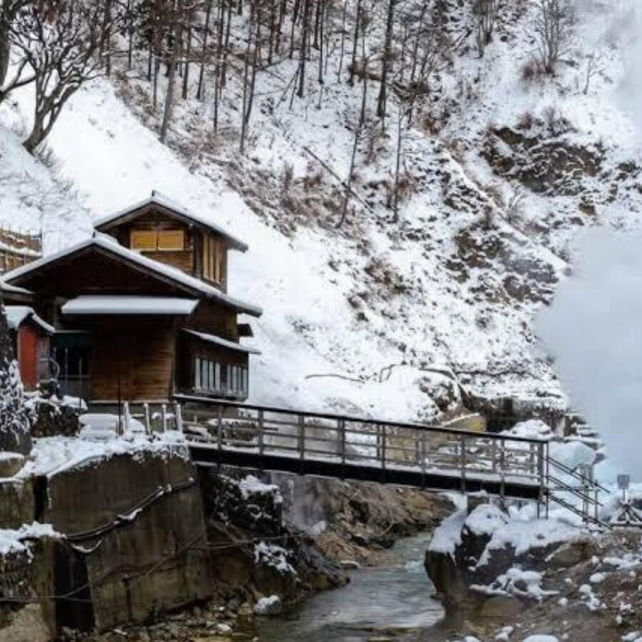 From Tokyo: Private Tour Snow Monkey Park & Zenko-ji Temple - Shibu Onsen: A Traditional Stop Where You Can Actually Feel the Place