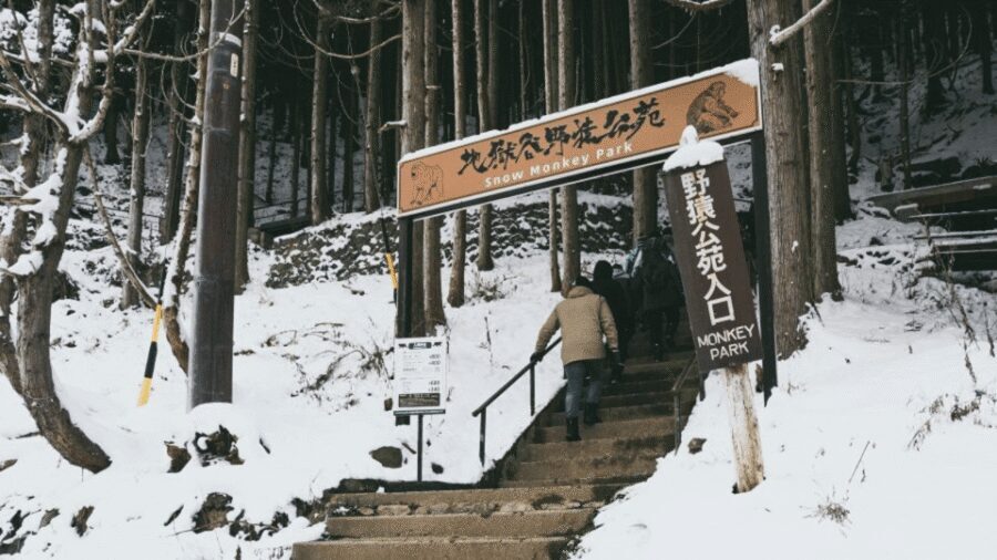 From Tokyo: Private Tour Snow Monkey Park & Zenko-ji Temple - Comfort Details That Make a Difference on This 10-Hour Day