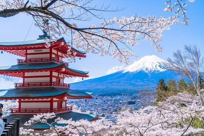 From Tokyo: Top 5 Scenic Spots of Mount Fuji Full-Day Tour - From Tokyo to Fuji: the real value of a guided full day